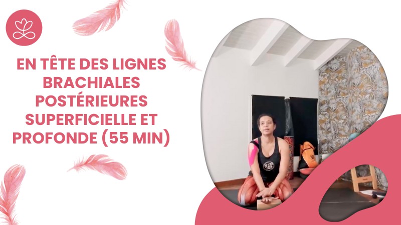 2.5 En Tête des Lignes Brachiales Postérieures Superficielle et Profonde (55 min)